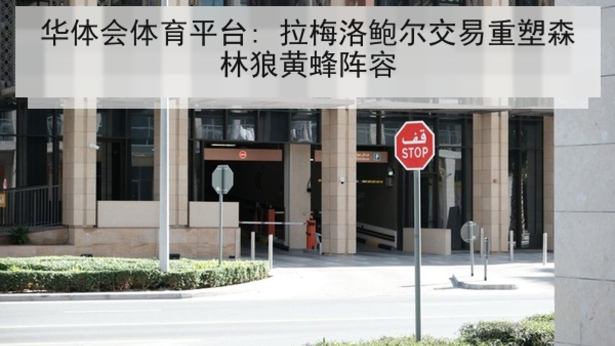 华体会体育平台: 拉梅洛鲍尔交易重塑森林狼黄蜂阵容