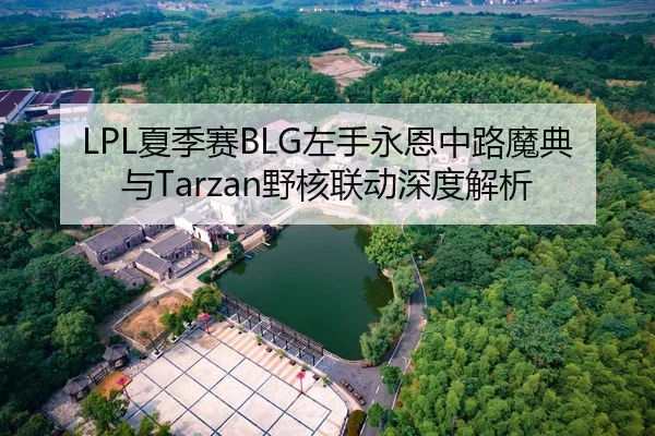 LPL夏季赛BLG左手永恩中路魔典与Tarzan野核联动深度解析