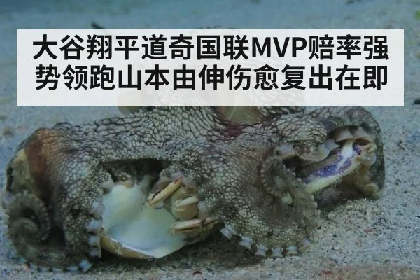 大谷翔平道奇国联MVP赔率强势领跑山本由伸伤愈复出在即