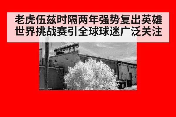 老虎伍兹时隔两年强势复出英雄世界挑战赛引全球球迷广泛关注